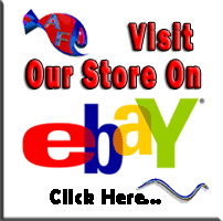 Ebay Store - Everything!